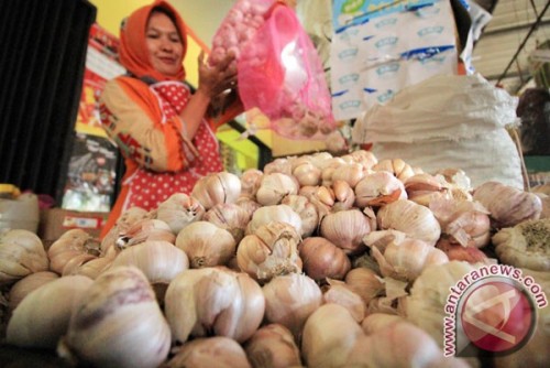 Mentan Pasok 58 Ton Bawang Putih Impor