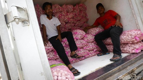 Mentan: Penimbunan Bawang Putih Bikin Harga Bergejolak
