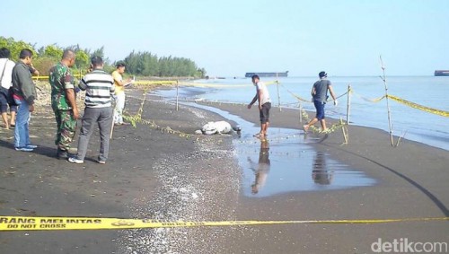 Identitas Mayat Dalam Karung di Tegal Terungkap
