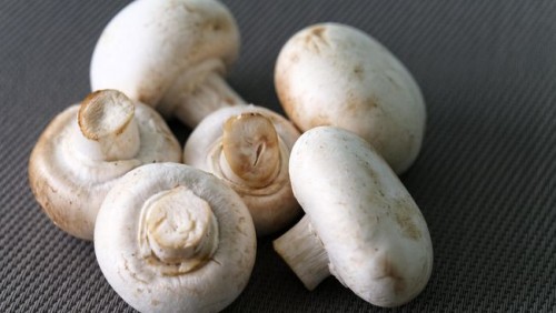 Cara Tersehat Memasak Jamur Menurut Sains