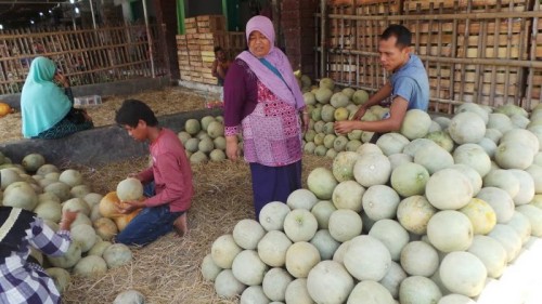 Jelang Ramadan, Harga Buah di Pasar Sentral Buah dan Sayur Pemalang Mulai Merangkak Naik