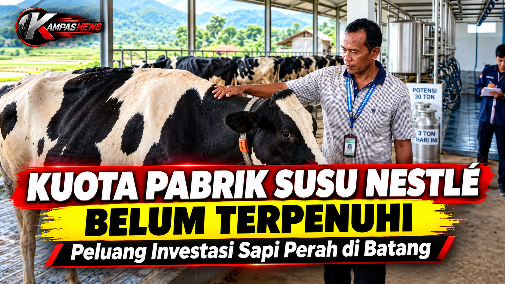 Belum Penuhi Kuota Pabrik Susu Nestle, Ada Peluang Potensi Besar Investasi Sapi Perah Di Batang